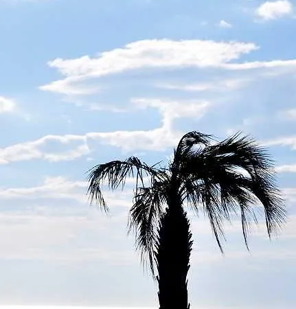 Hotel Le Regina Et Restaurant Canet-plage